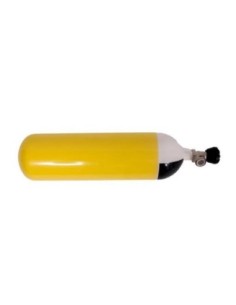 BOTELLA6L