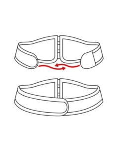 CAV 2