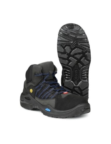 BOTA1655